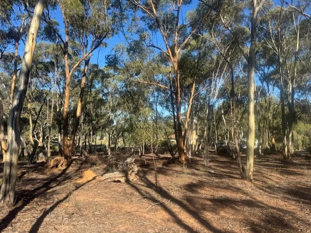 Additional image 10 of 2-20 Godfrey Street, Wedderburn VIC 3518