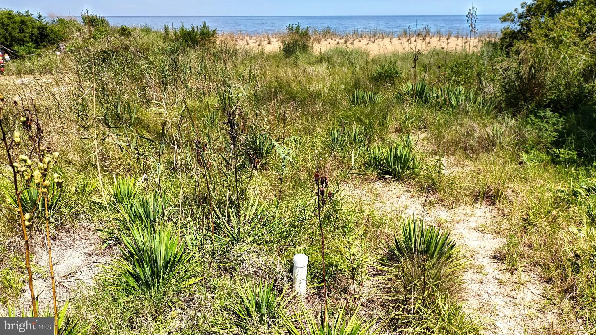 Additional image 24 of 173 S Sandpiper Drive, Dover, DE 19901