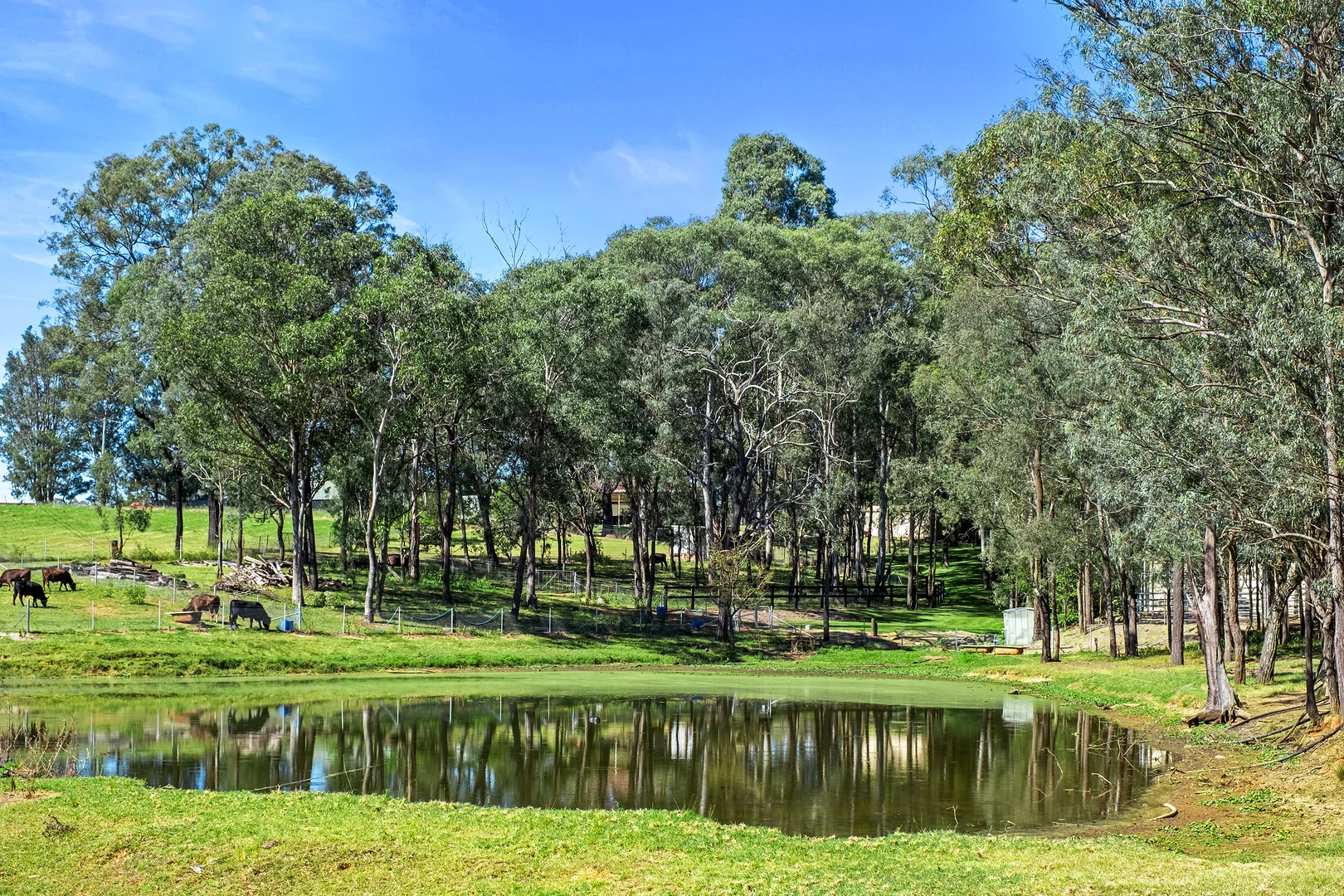 Additional image 4 of 660 Old Pitt Town Road, Oakville NSW 2765