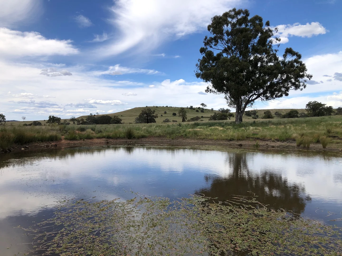 Additional image 3 of Nullamanna NSW 2360