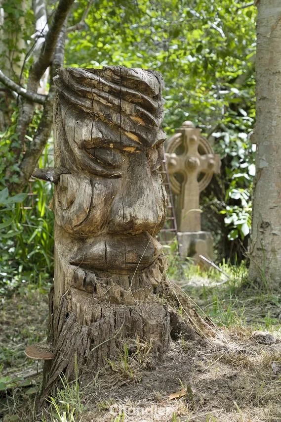 Additional image 31 of 19 Colehurst Crescent, Olinda VIC 3788