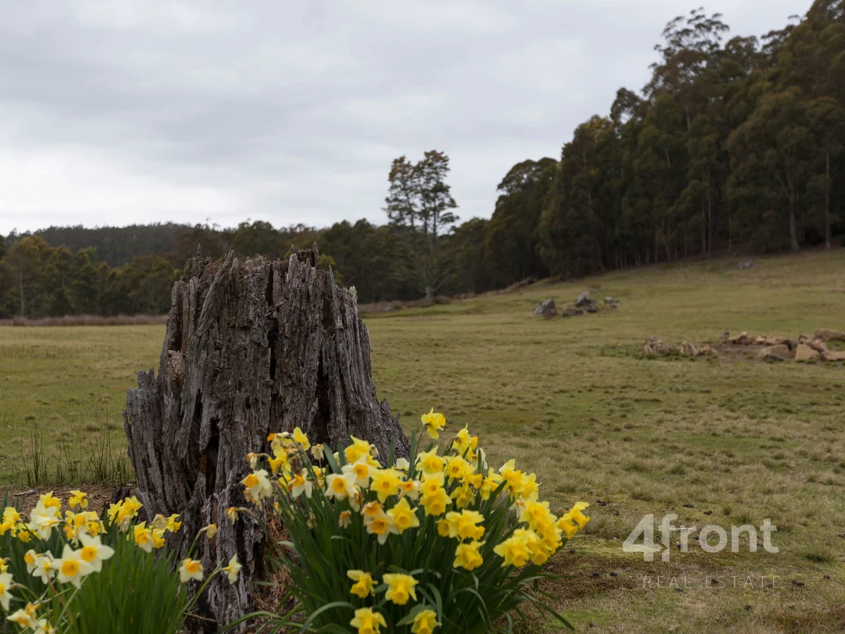 Additional image 6 of 1 and 2/141 Tiers View Road, Golden Valley TAS 7304