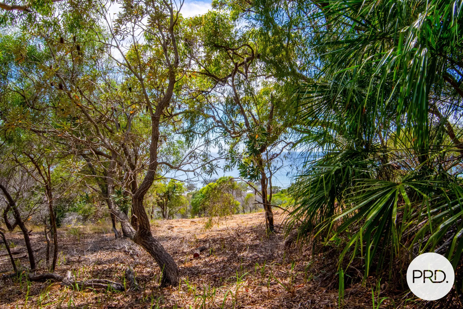 Additional image 12 of 127 Sunbird Avenue, Agnes Water QLD 4677