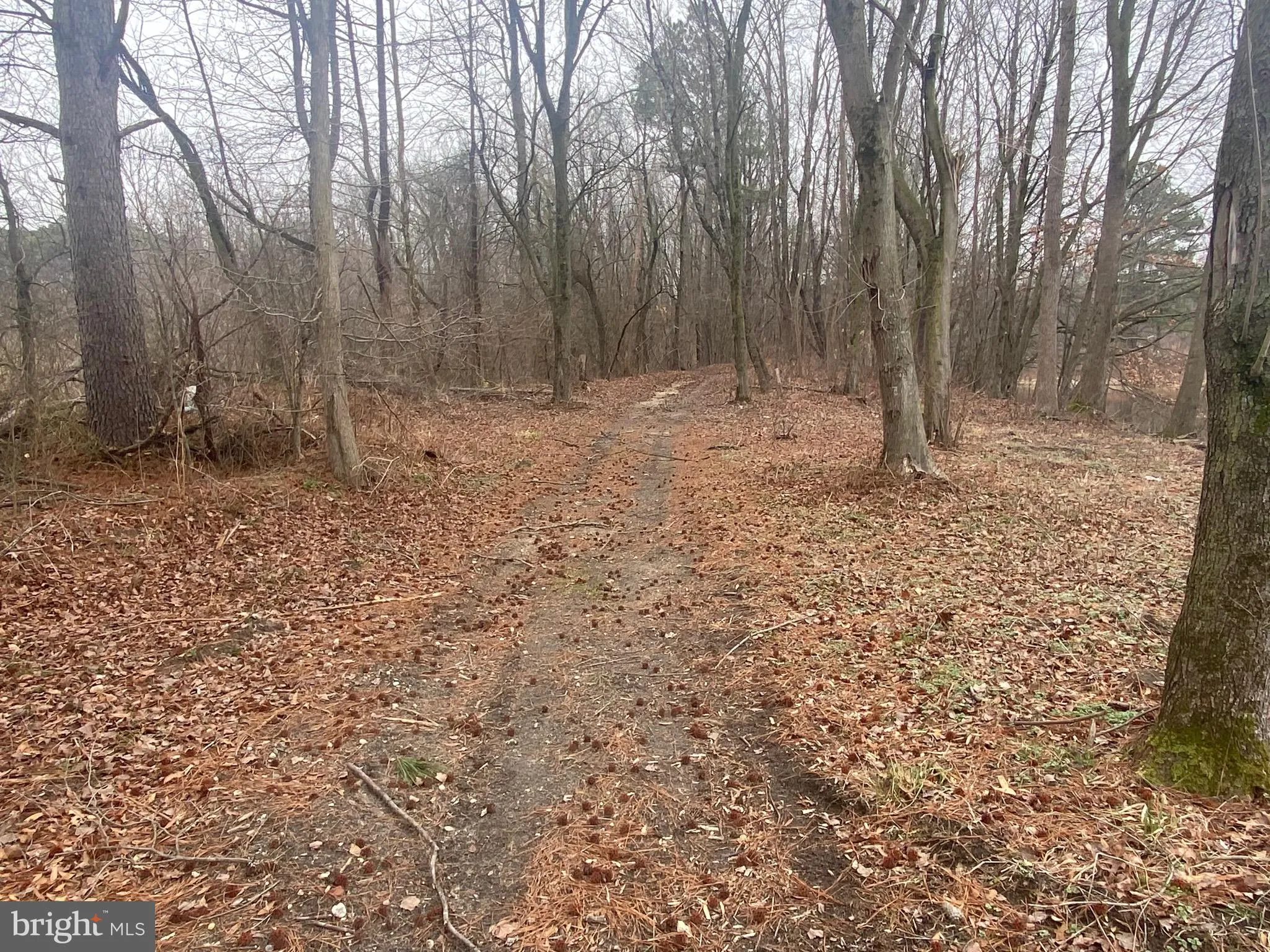 Additional image 84 of 9415 Cherry Tree Lane, Seaford, DE 19973