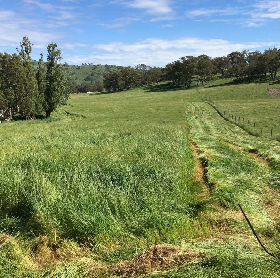 Additional image 3 of 126 Sugarloaf Road, Sheans Creek VIC 3666