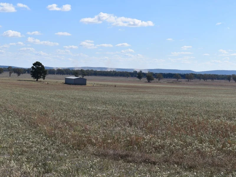 Additional image 10 of "Ben Hall Park" Yarrangong Road, Forbes NSW 2871