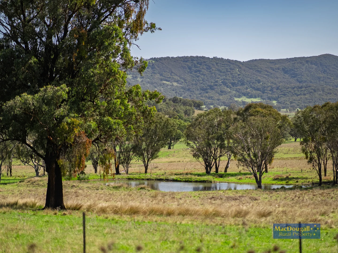 Additional image 25 of 384 Dry Creek Road, Georges Creek NSW 2365