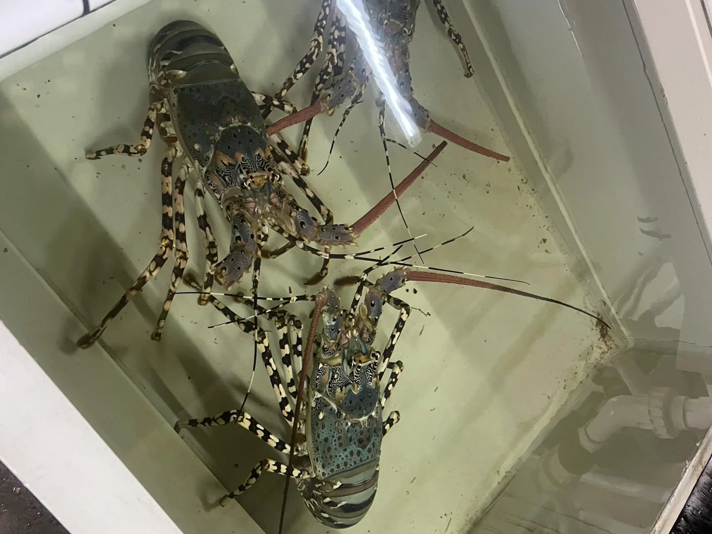 Additional image 44 of 43052 Bruce Highway, Clemant QLD 4816