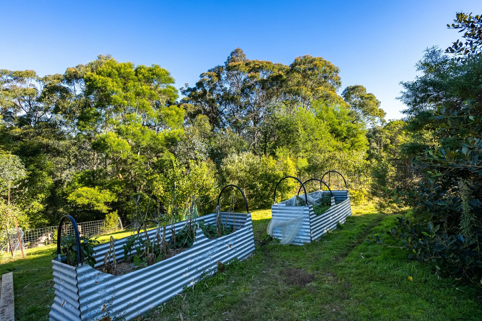 Additional image 17 of 142 Eagles Nest Road, Brogo NSW 2550