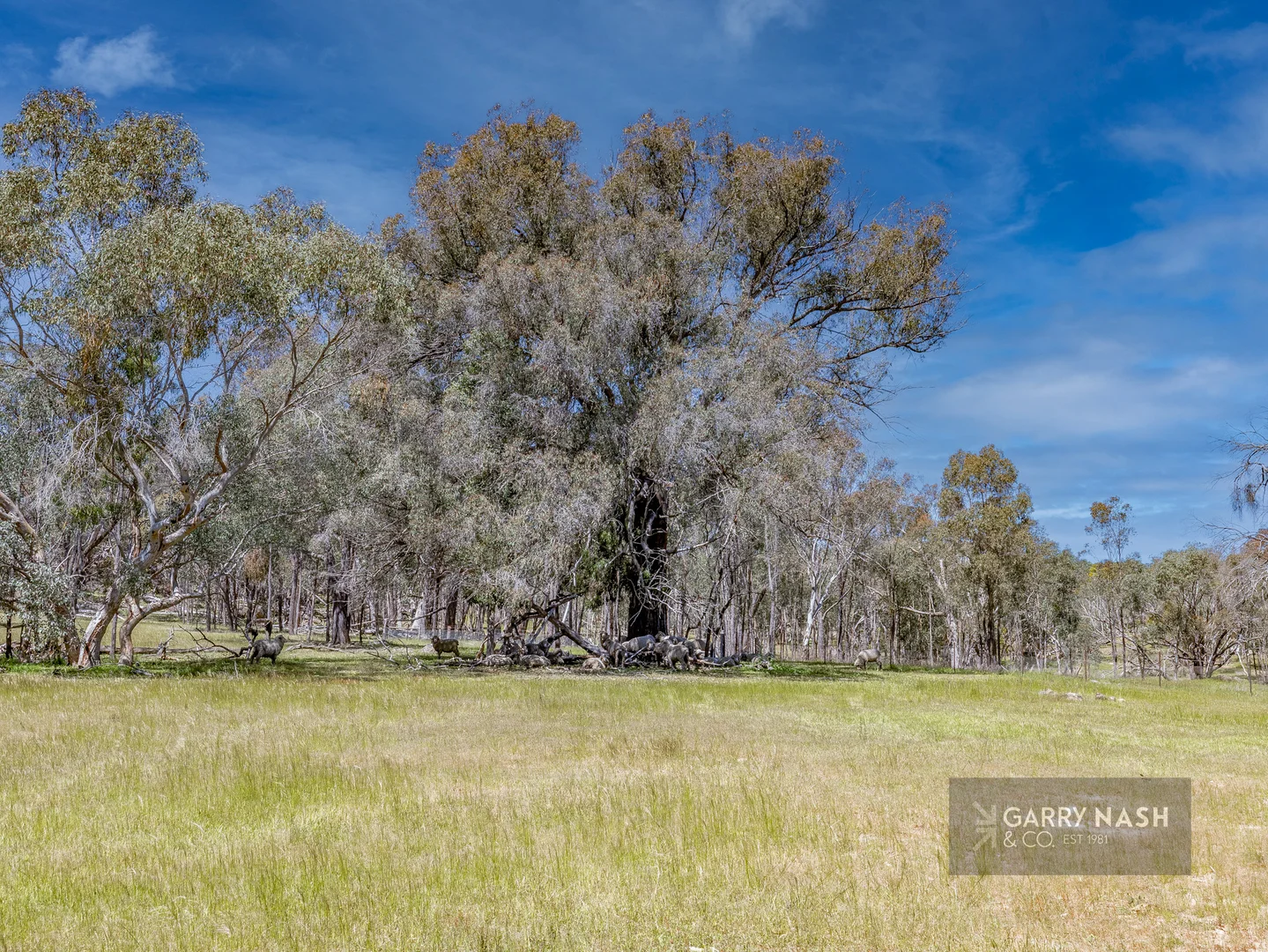 Additional image 11 of Lot 2 Sanderson Road, Springhurst VIC 3682