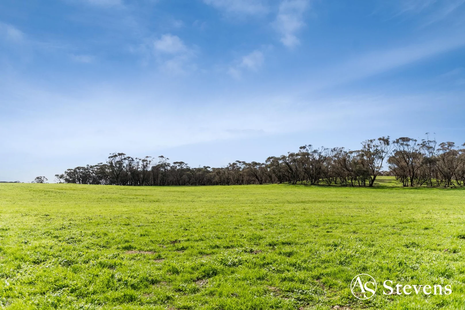 Additional image 14 of 499 Old Wedderburn Road, Slaty Creek VIC 3477