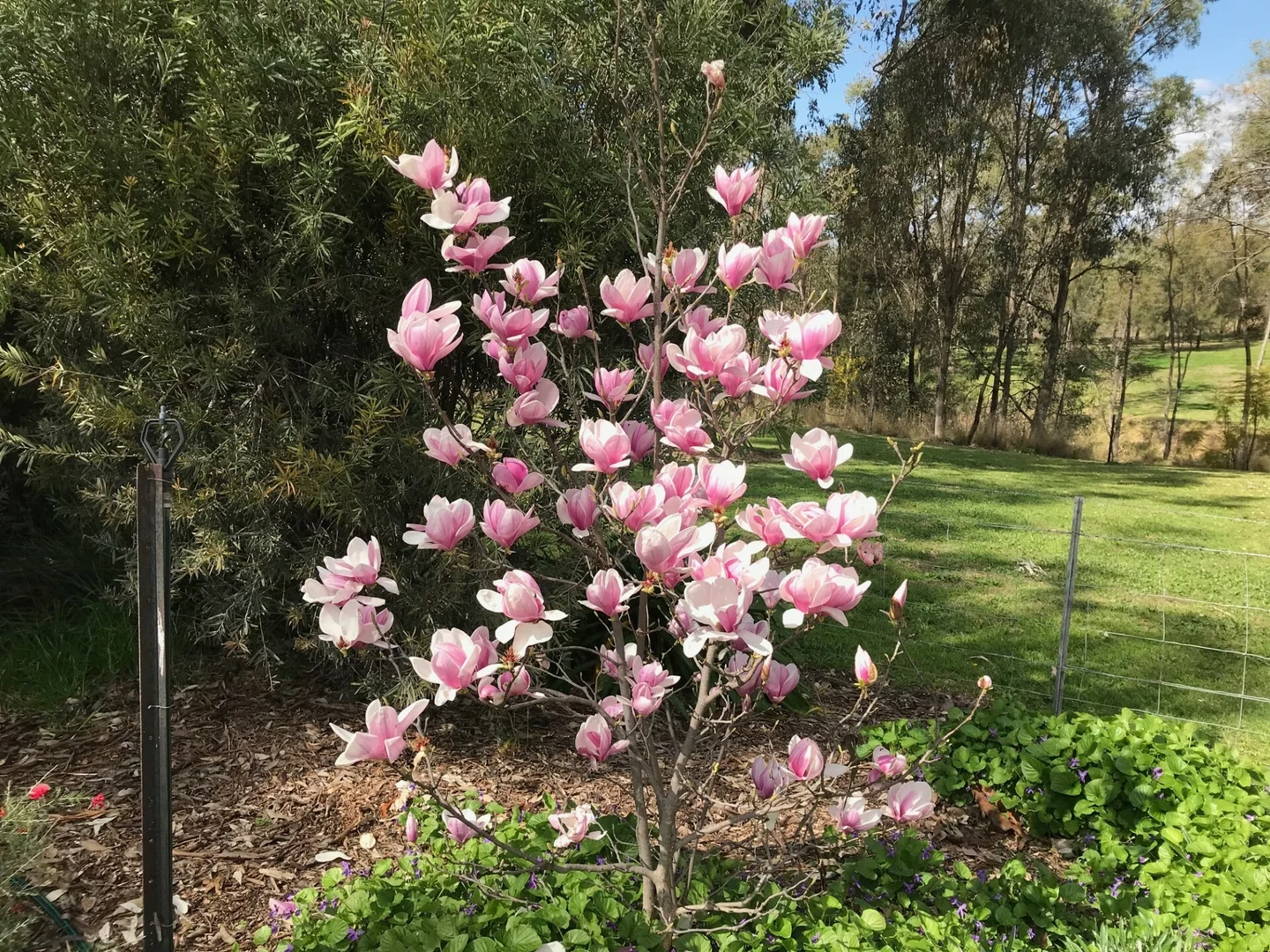 Additional image 24 of Inverell NSW 2360