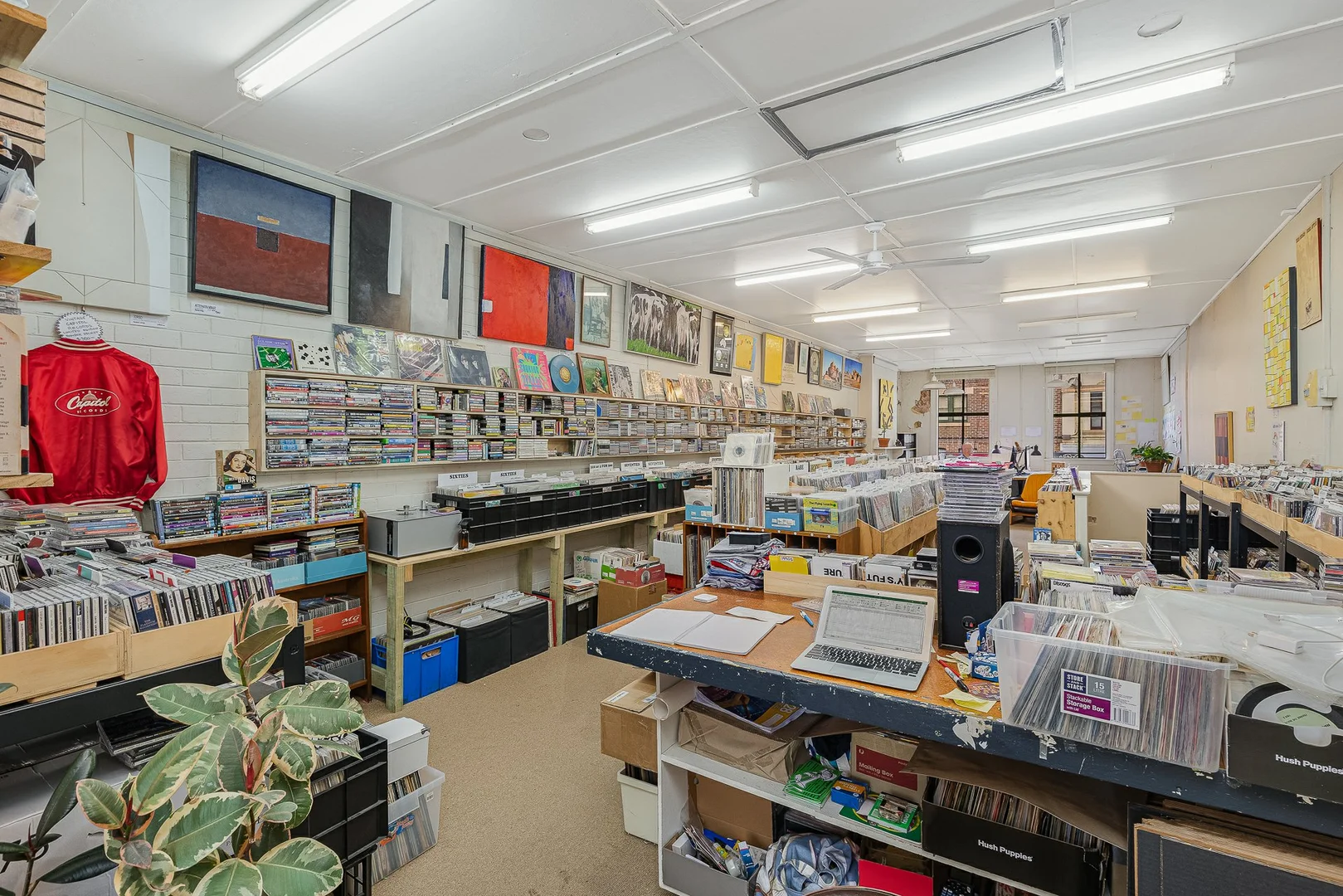 Additional image 4 of 203 Carp Street, Bega NSW 2550