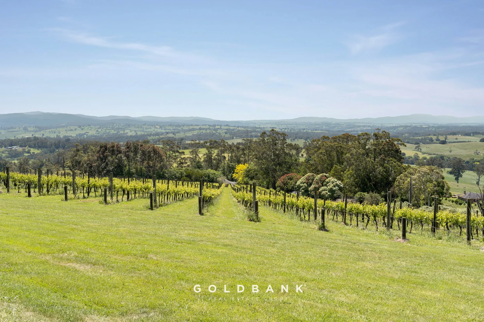 Additional image 6 of 180 Lardners Track, Drouin East VIC 3818