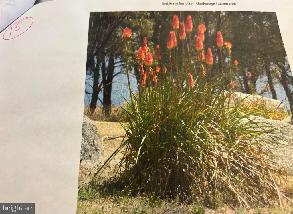 Additional image 62 of 6 Bradley Circle, Middletown, DE 19709