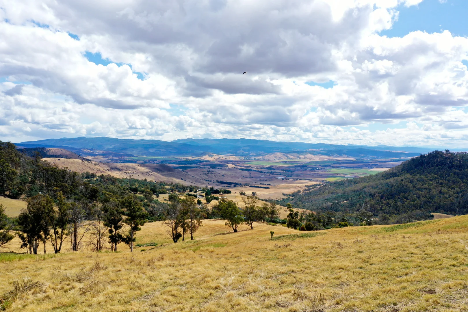 Additional image 11 of 17 Garth Lane, Black Hills TAS 7140