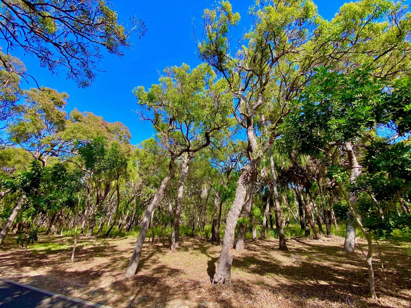 Additional image 6 of L 39 Bloodwood Ave, Agnes Water QLD 4677