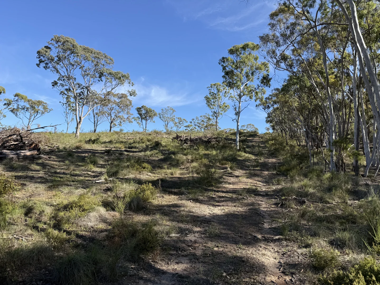 Additional image 12 of 157 Blakney Creek North Road, Bevendale NSW 2581