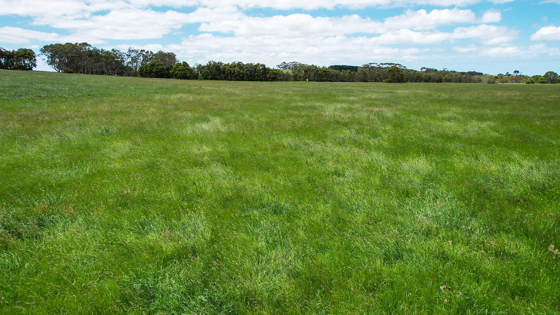 Additional image 12 of 4 Hopkins Falls Road, Wangoom VIC 3279