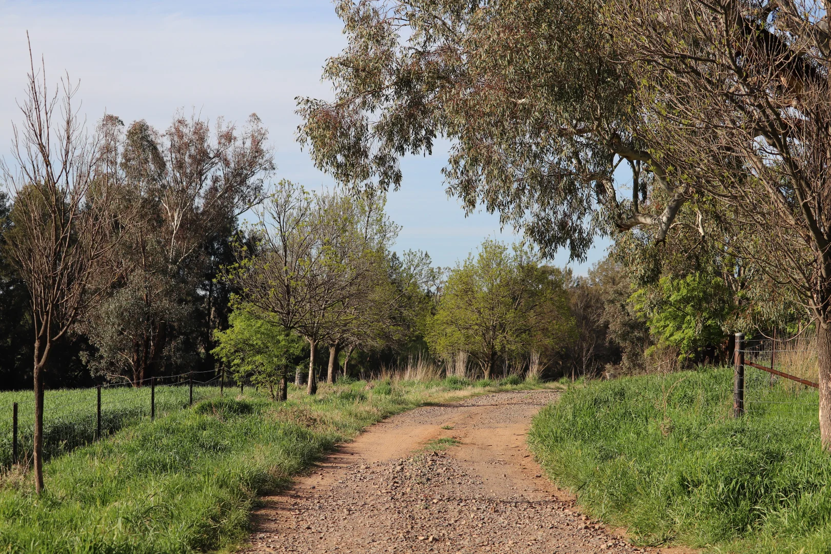 Additional image 25 of 2350 George Russell Drive, Canowindra NSW 2804
