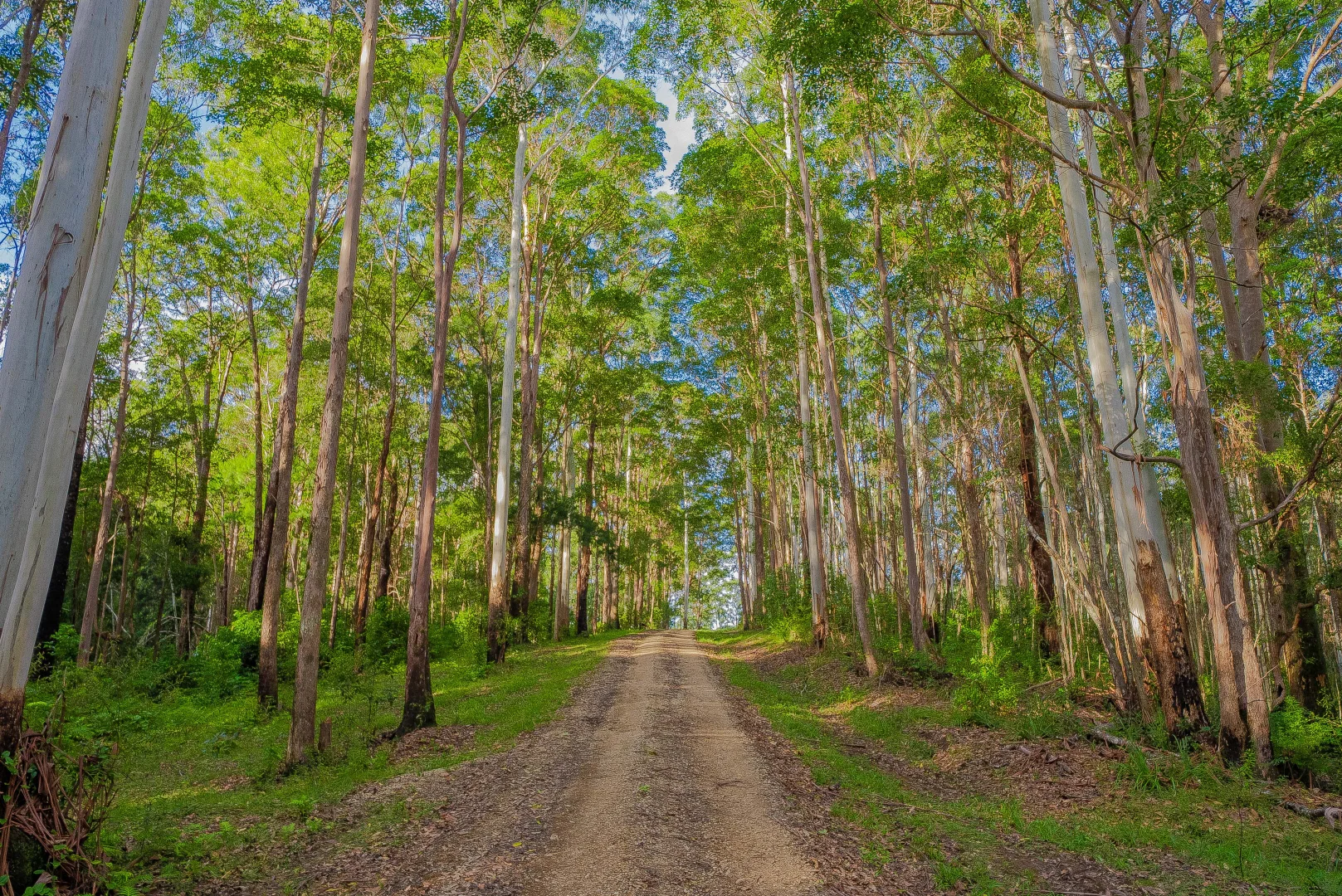 Additional image 7 of Doon Doon NSW 2484