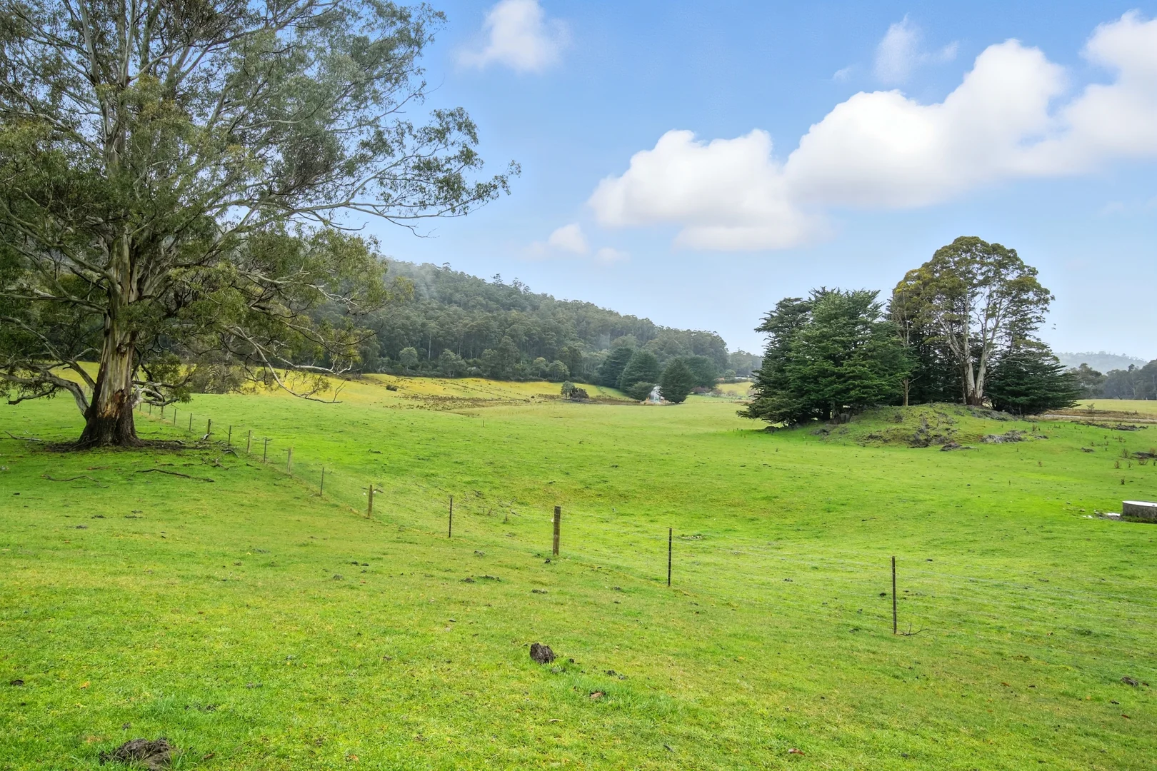 Additional image 7 of 64 Mersey Forest Road, Liena TAS 7304