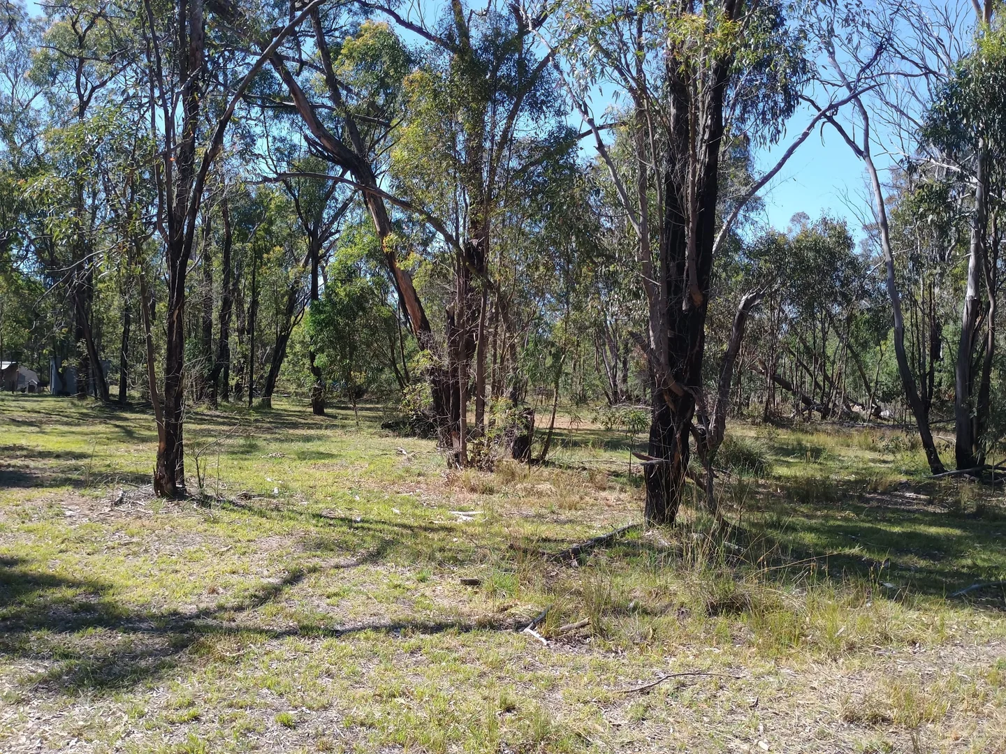 Additional image 6 of Coolah NSW 2843