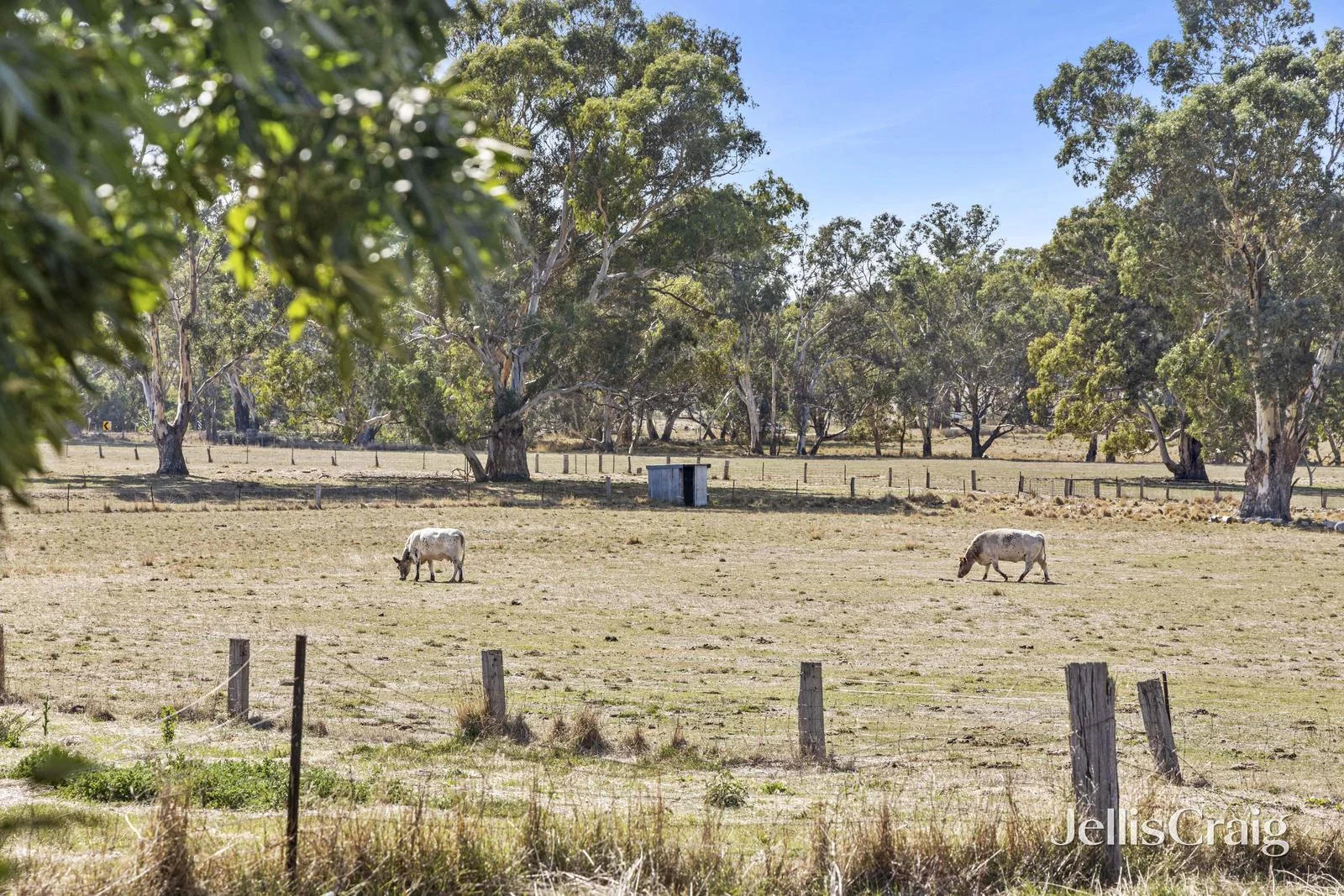 Additional image 12 of 39 Symes Road, Muckleford South VIC 3462
