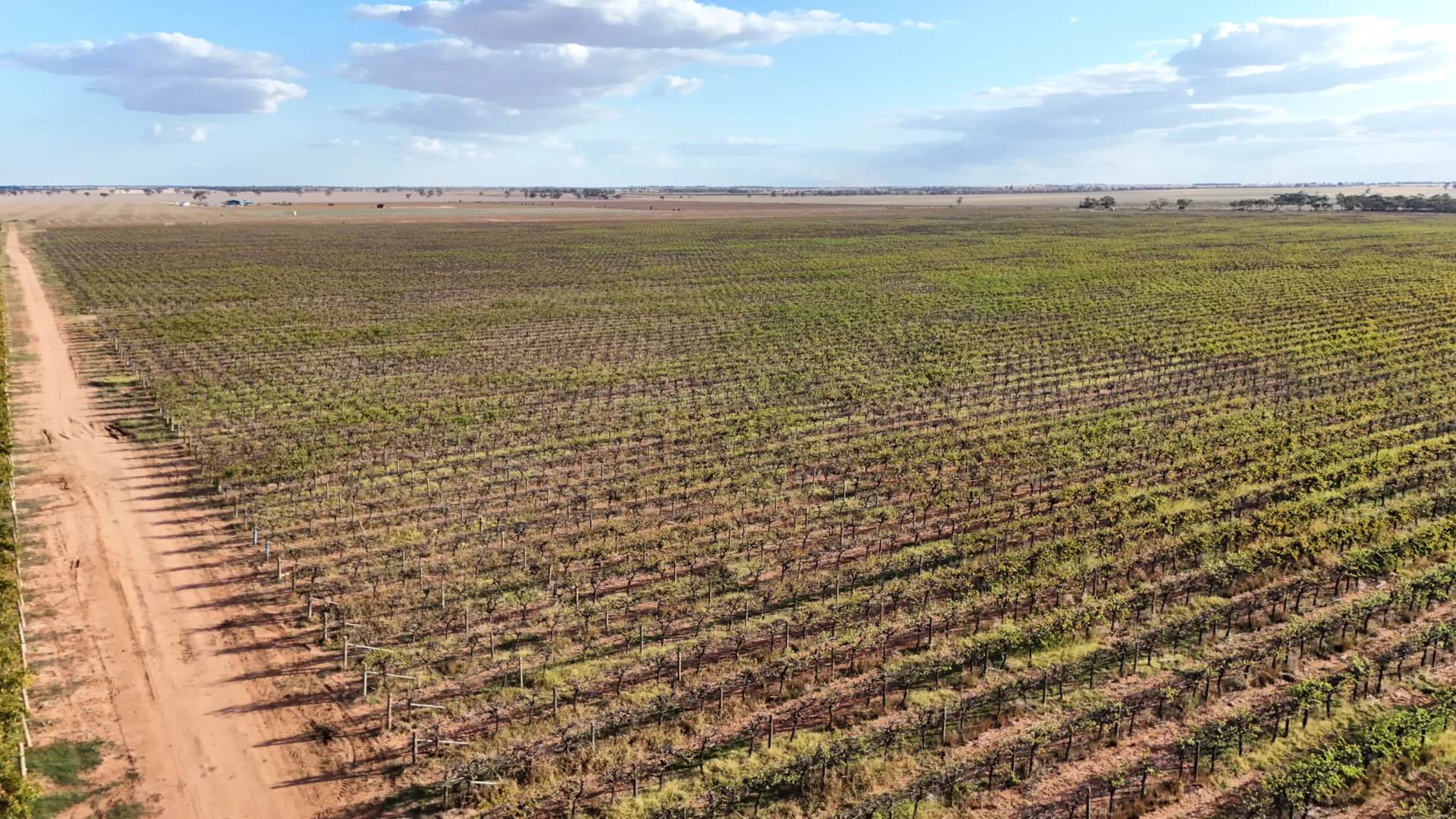 Additional image 29 of 595 Woorinen Road, Swan Hill VIC 3585