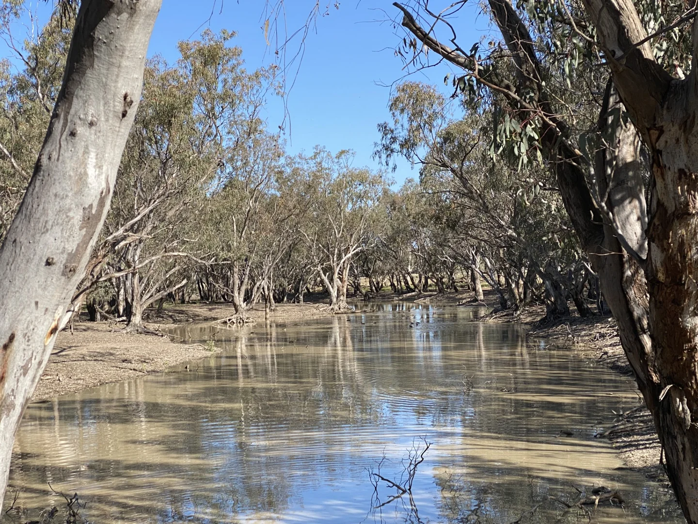 Additional image 33 of 362 Morangarell Road, West Wyalong NSW 2671