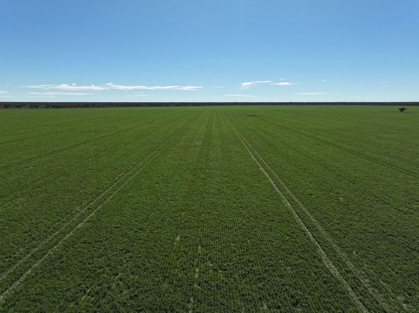 1127 Green and Branders Road, Carinda NSW 2831