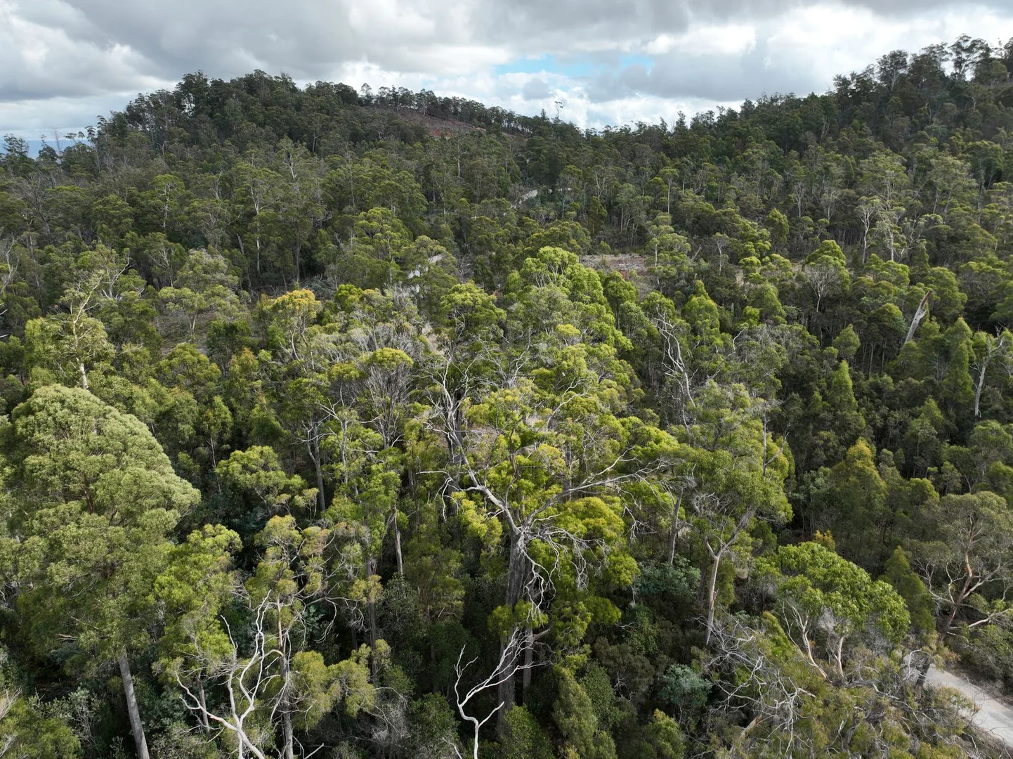 Additional image 10 of Part of 190 Porters Bridge Road, Exton TAS 7303