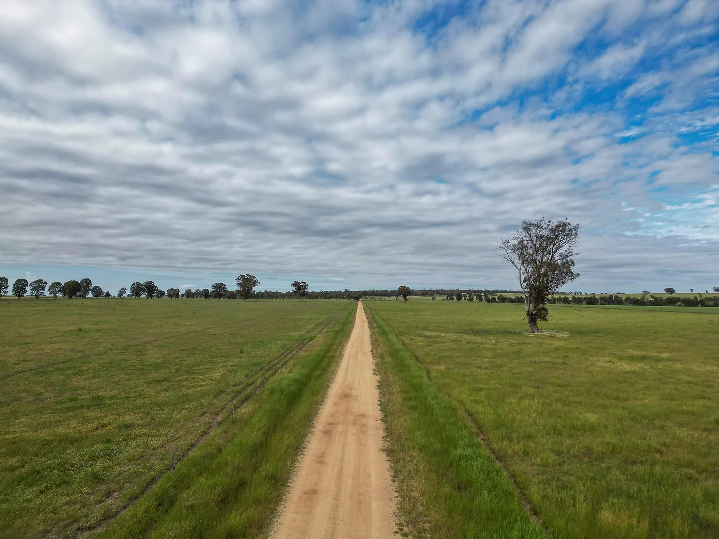 Additional image 18 of 2326 Lockhart The Rock Road, The Rock NSW 2655