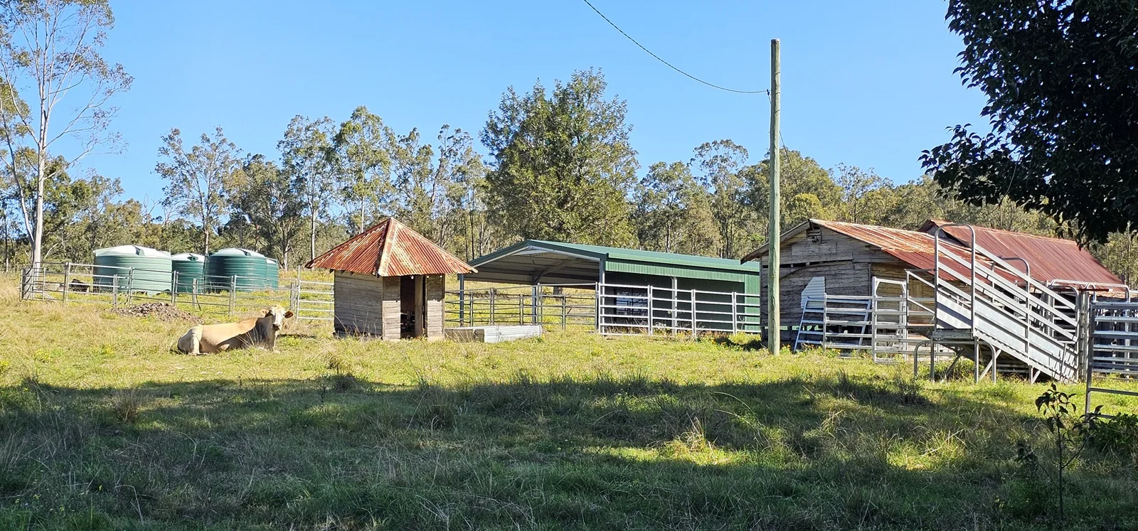 Additional image 3 of 981 Old Dyraaba Road, Lower Dyraaba NSW 2470