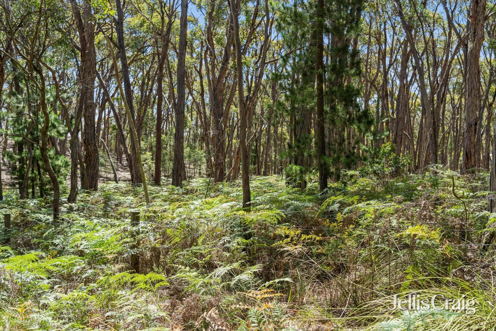 Additional image 5 of Lot 9 Post Office Road, Smythes Creek VIC 3351