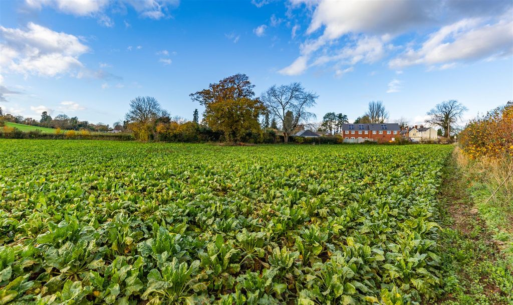 Land for saleWormelow, Hereford HR2 photo 4
