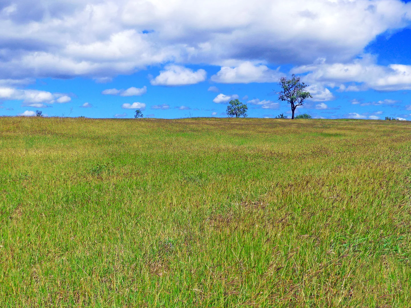 Additional image 24 of 0 'Spring Creek Hollow' Capricorn Highway, Westwood QLD 4702