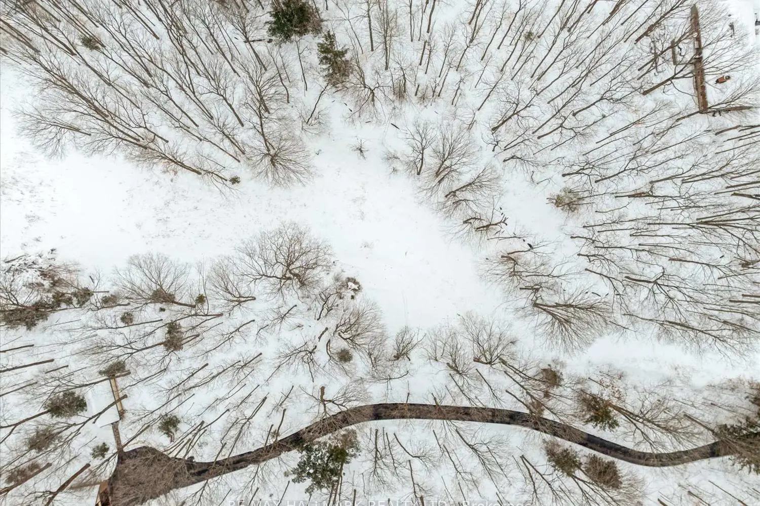 Additional image 16 of 430 Churchill Avenue