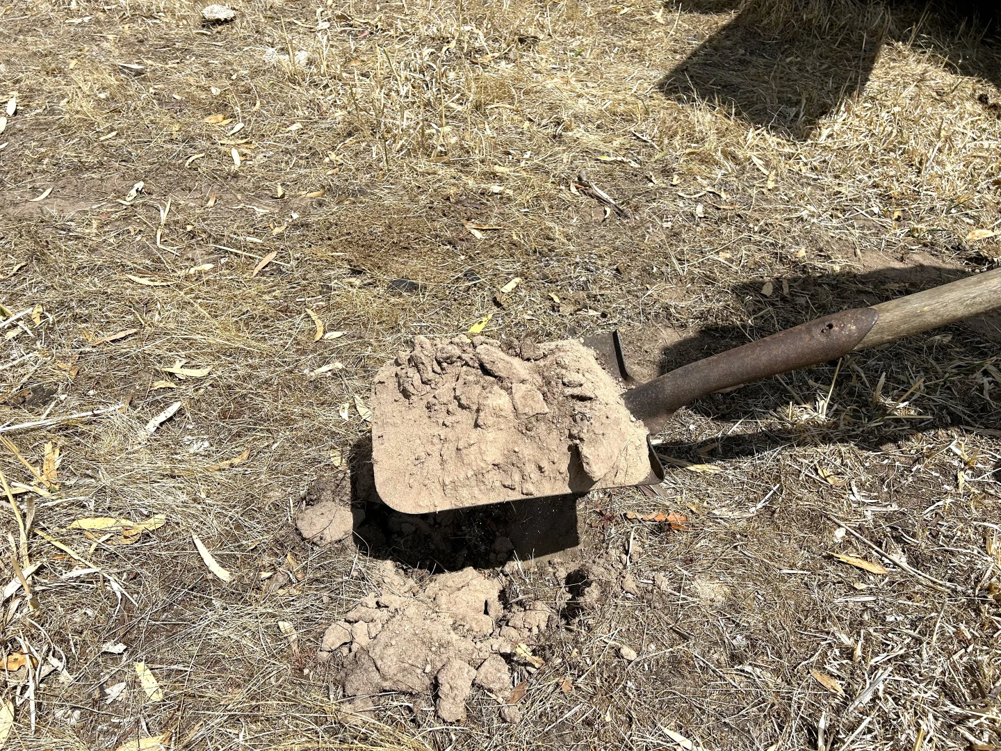 Additional image 3 of 1287 Charam-wombelano Road, Charam VIC 3318