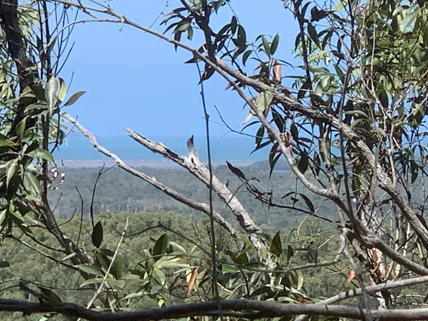 Additional image 4 of LOT 36 Whitsunday Dr, Bloomsbury QLD 4799