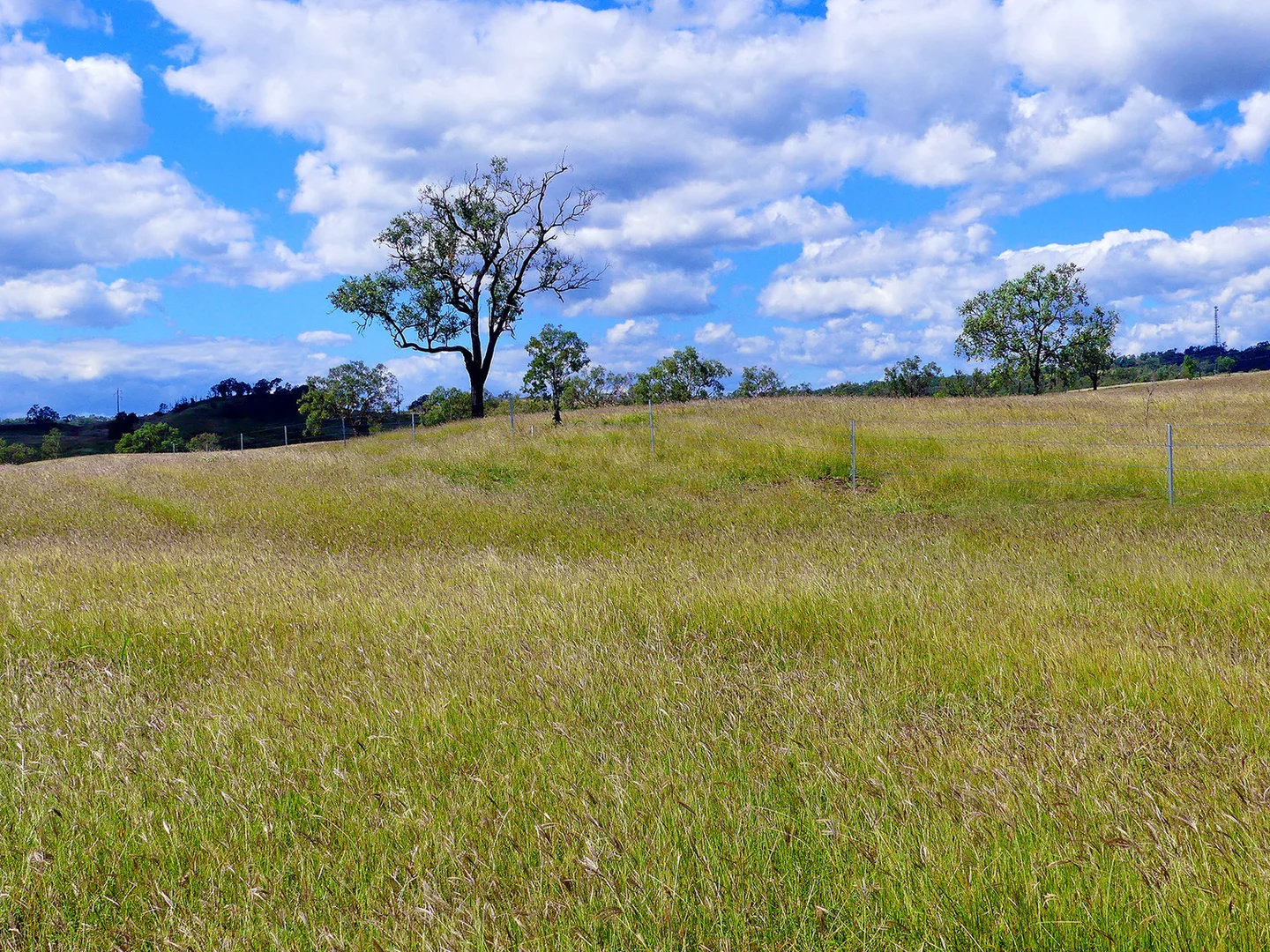 Additional image 19 of 0 'Spring Creek Hollow' Capricorn Highway, Westwood QLD 4702