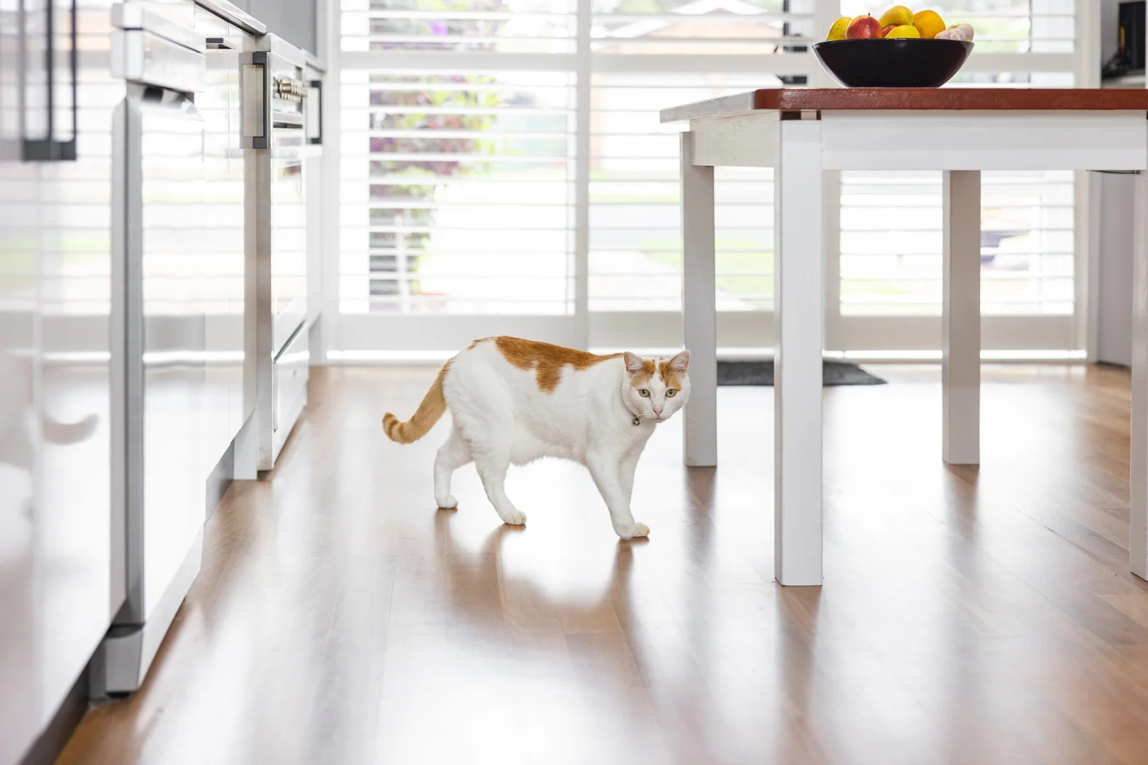 Additional image 5 of 6 David Street, Old Bar NSW 2430