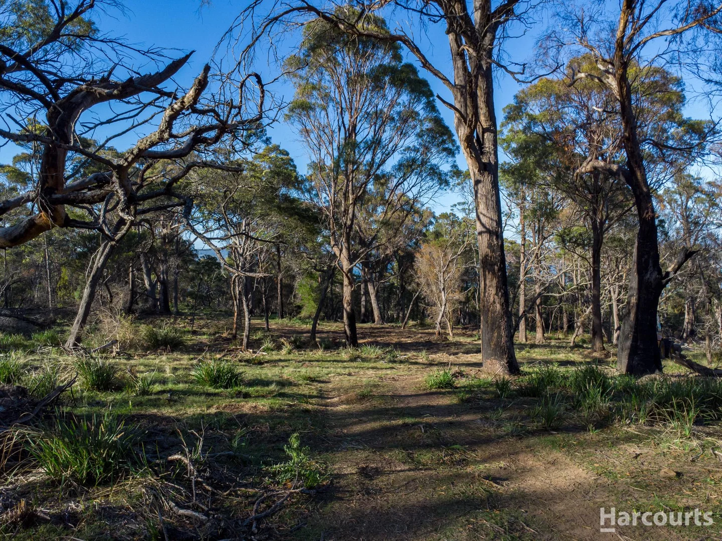 Additional image 8 of 2147B East Tamar Highway, Mount Direction TAS 7252