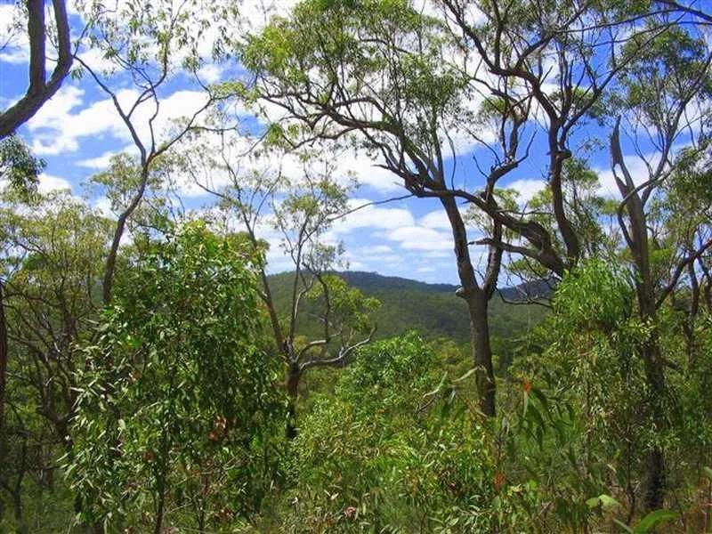 Additional image 14 of Captain Creek QLD 4677