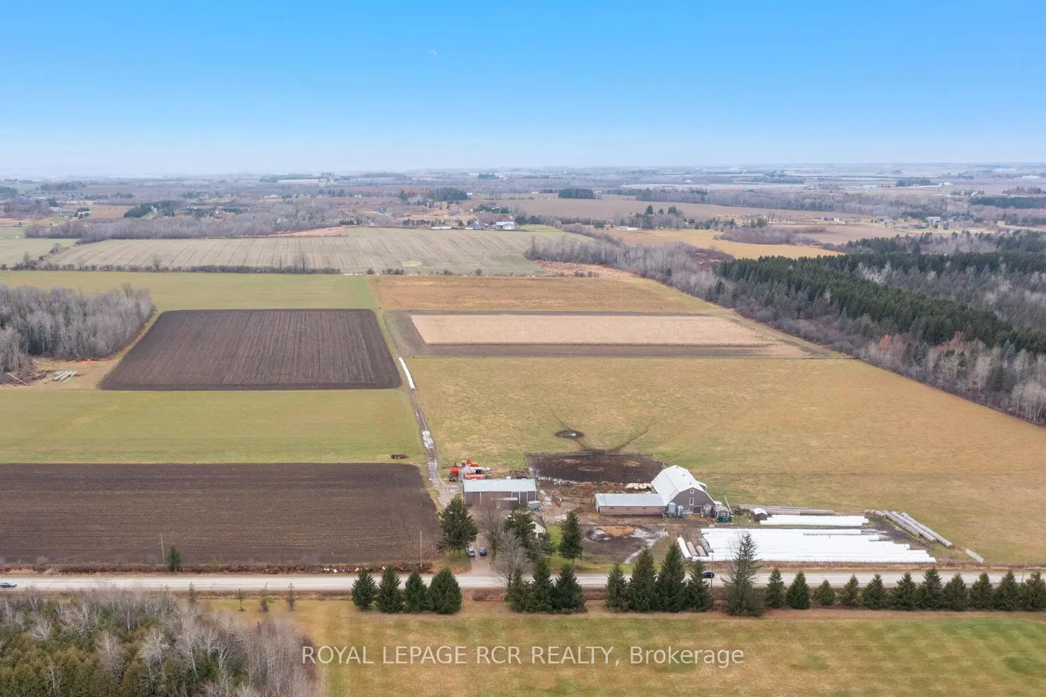 553456 Mono Amaranth Townline