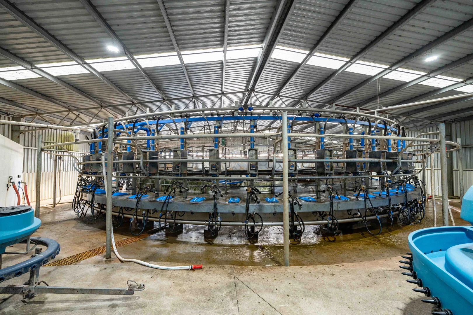 Additional image 18 of Rushy Lagoon TAS 7264