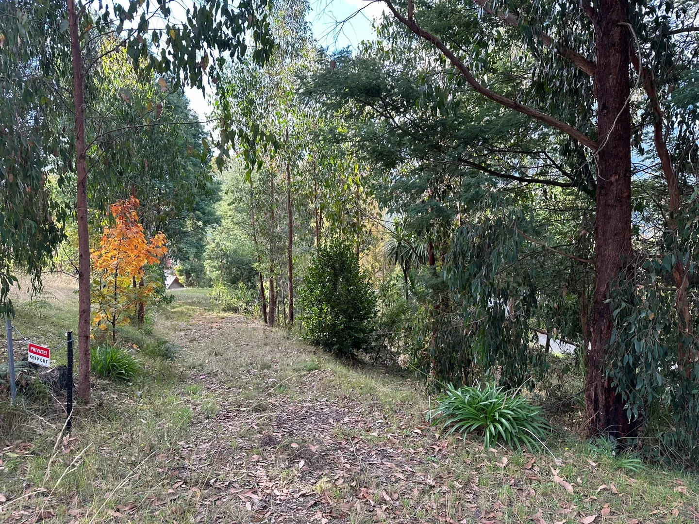 Additional image 2 of 3 Kings Road, Marysville VIC 3779