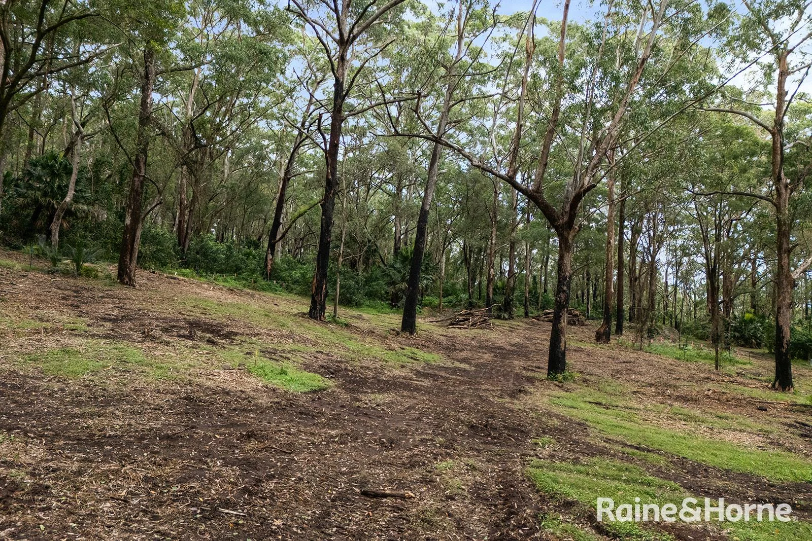 Additional image 12 of Lot 1 Selbys Road, Budgong NSW 2577
