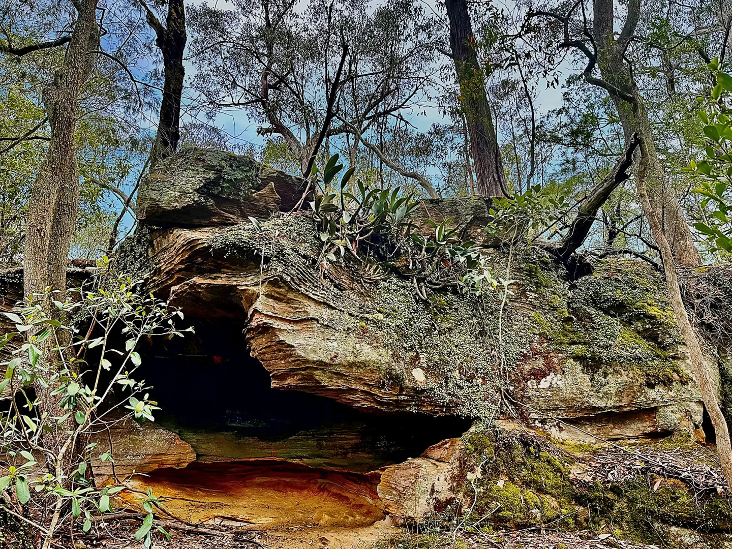 Additional image 3 of 780 Milsons Arm Road, Wollombi NSW 2325