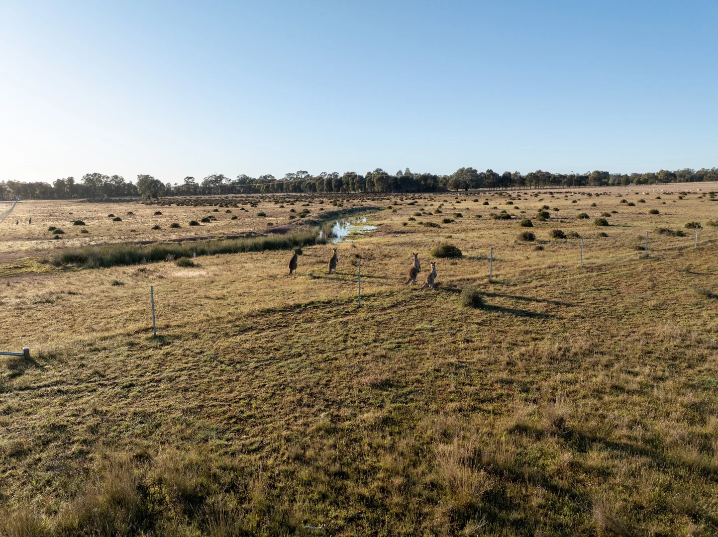Additional image 7 of Lagoon Creek Road, Minore NSW 2830